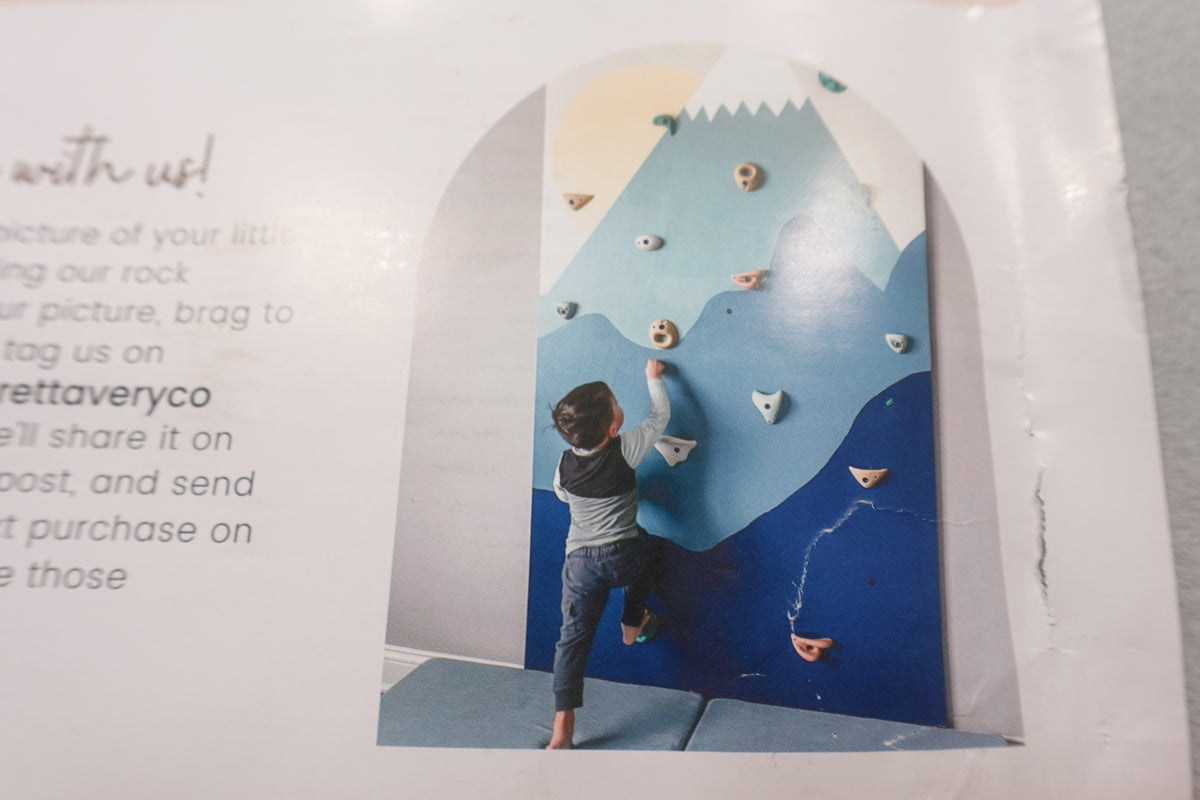 Everett & Amy Rock Climbing holds with hardware (Additional or Replacement Parts)